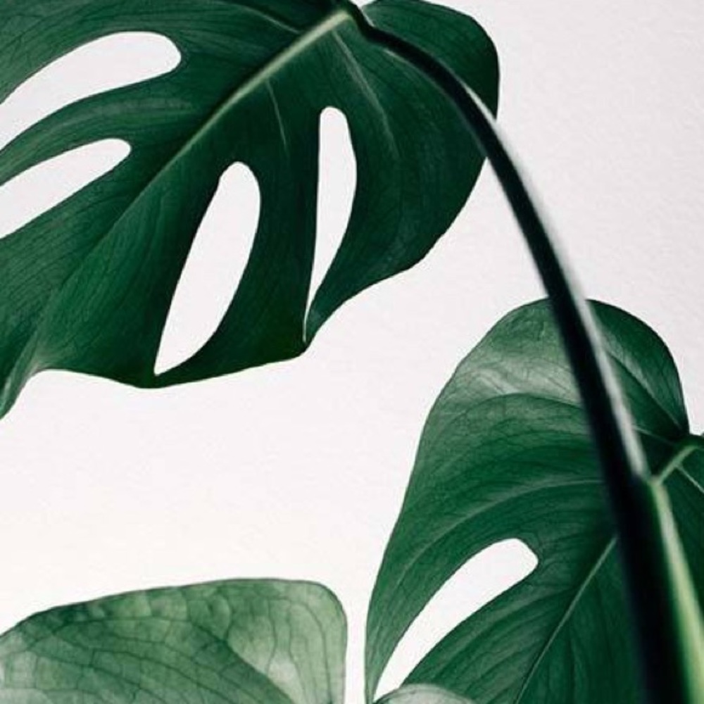 Meet your Posher, Christa